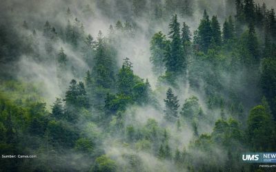 Wujudkan Tata Kelola Hutan Karbon yang Baik, Pakar UMS: Transparansi Adalah Kunci