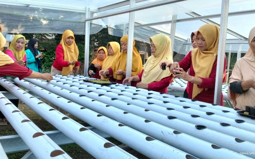 Dukung Ketahanan Pangan, UMS Ajak KWT Kopen SAE Budidaya Hidroponik