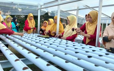 Dukung Ketahanan Pangan, UMS Ajak KWT Kopen SAE Budidaya Hidroponik