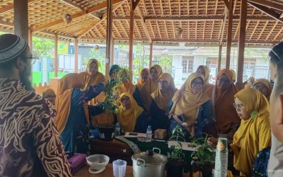 Edukasi Dosis dan Keamanan Obat Herbal, UMS Latih PCA Gatak Budidaya Sambiloto